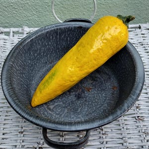 May include: A bright yellow, elongated object resembling a pepper, resting in a dark gray enamelware bowl. The pepper has a green stem and a textured surface. The bowl has two handles and a white wire handle.
