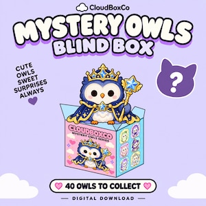 May include: A digital download Mystery Owls Blind Box graphic featuring a blue owl character wearing a crown and cape while holding a star wand. The box displays the text CloudBoxCo Mystery Owls Series and 40 Owls To Collect.
