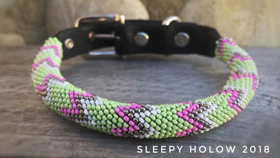 beaded dog collar