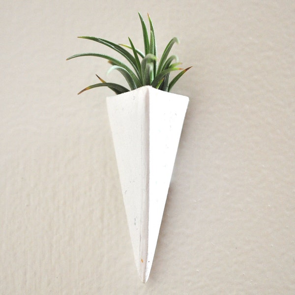 Wall Mount Mini Air Plant Planter White and Tillandsia Plant