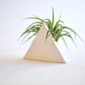 Trending Triangle Mini Air Plant Planter White, Plant not included image 1