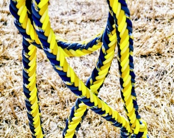 Paracord hondenriem “Basalt edge” – Robuuste 6-strengs power braid – 1,50 m korte riem met handlus – Handgemaakt in de Rhön-regio