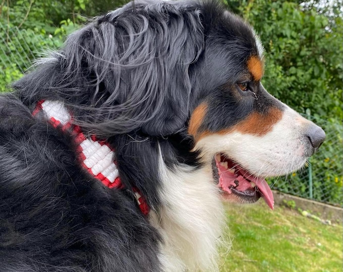 Custom-braided paracord dog collar | Freestyle, one-of-a-kind handmade piece | STARKesHERZ