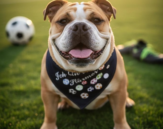 Featured listing image: Dog bandana "Stürmer" with glow-in-the-dark embroidery... World Cup Special
