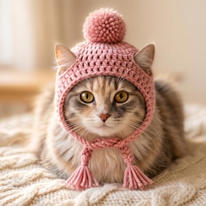 May include: A fluffy tabby cat wearing a dusty pink crocheted hat. The hat features a textured knit pattern, a large pom-pom on the top, and two braided chin straps that hang down on either side, each finished with a small matching pink tassel.
