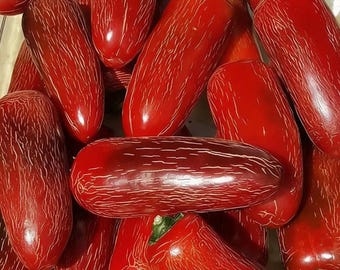 Sausage Pepper Seeds – High Yield Sweet Pepper Variety with Strong Fruit Set & Disease Resistance