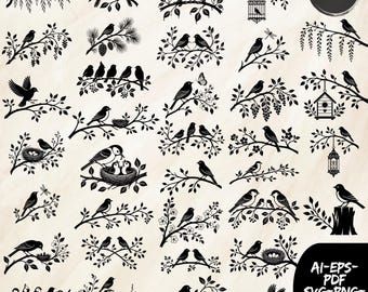 Paquete de imágenes SVG de pájaros en ramas, rama de árbol, decoración del hogar con gorrión, bandada de pájaros SVG, diseño de camiseta de pájaros PNG, nido de pájaros PNG SVG, descarga instantánea
