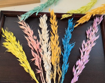 Gedroogde Haver Stam Geconserveerde Bloem DIY Craft Accessoires Benodigdheden