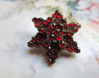 Antique Victorian Bohemian Garnet Lapel Pin in the Form of a Star