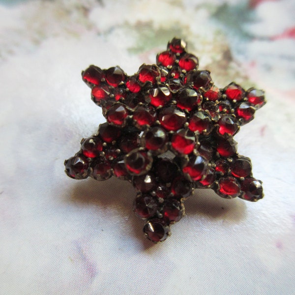 Antique Victorian Bohemian Garnet Lapel Pin in the Form of a Star