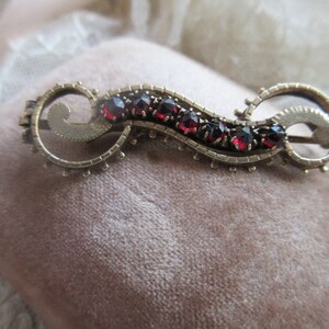 May include: A gold-toned brooch with a swirling design and a row of red gemstones.