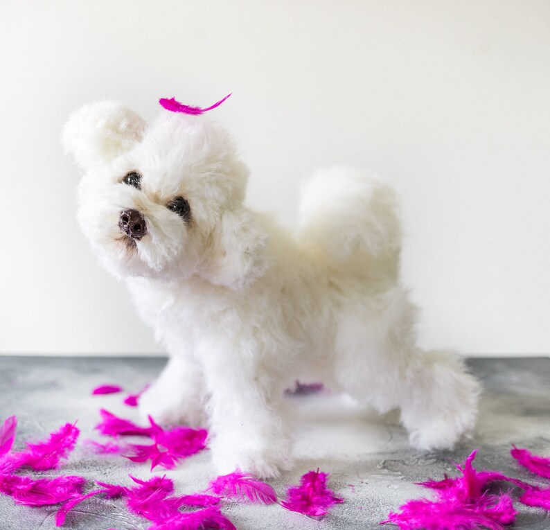 stuffed maltipoo dog