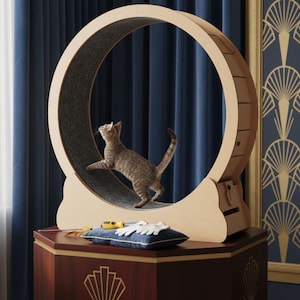 Op de afbeelding: Een licht houten kattenwiel met een grijze binnenkant, en een kat die erin rent. Het wiel staat op een donkere houten tafel met een blauw kussen en kattenspeelgoed. De achtergrond heeft blauwe gordijnen en een decoratief wandpaneel.