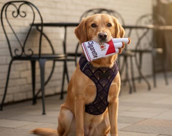 Ensemble de jouets en peluche pour chien, conception cigarette, jouets à mâcher doux pour un jeu interactif