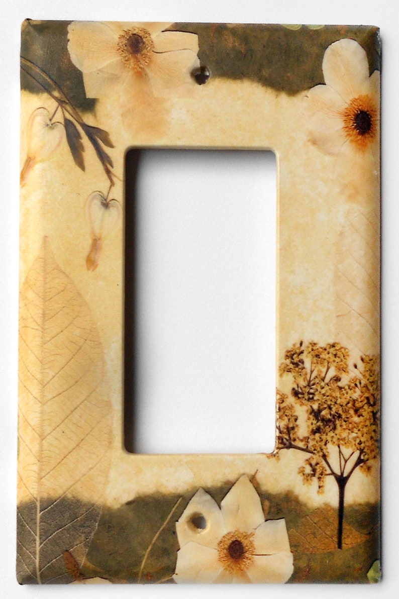 Switch Plate Pressed Flower Art PRINT from original image 6