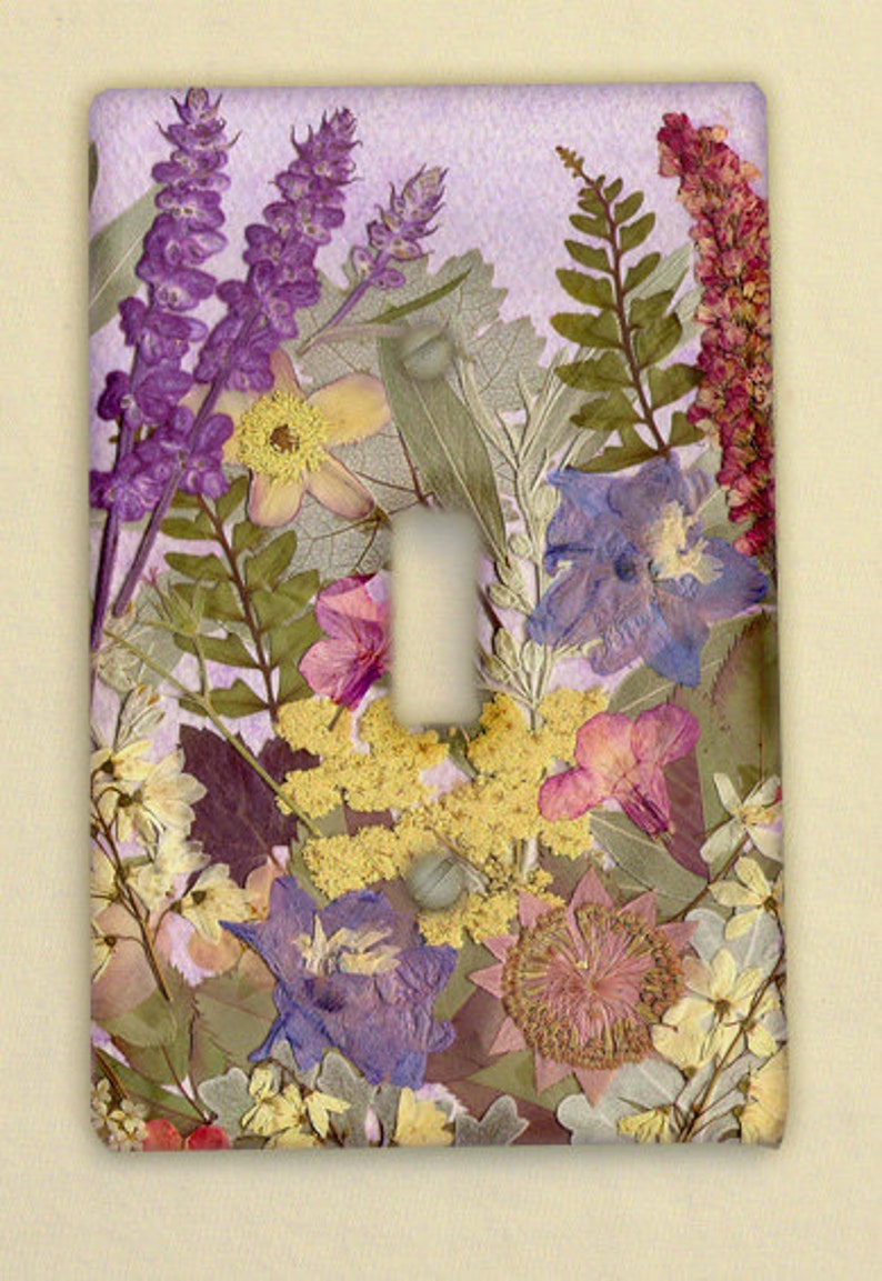 Switch Plate Pressed Flower Art PRINT from original image 3