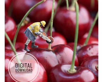 Puede incluir: Una figura en miniatura de un trabajador de la construcción con chaqueta amarilla y casco, usando una sierra circular para cortar el tallo de una cereza roja brillante. El fondo está lleno de cerezas rojas. Texto: MINIMANI.BE y DIGITAL DOWNLOAD.