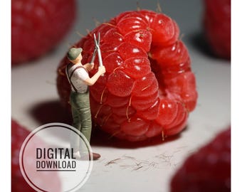 Puede incluir: Una figura en miniatura de una persona con peto verde y gorra está junto a una frambuesa roja grande, sosteniendo unas tijeras plateadas. El texto MINIMANI.BE aparece arriba y un gráfico circular muestra el texto DIGITAL DOWNLOAD.