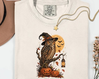 Halloween Owl Shirt, Stay Spooky Tee, Vintage Witch Owl Shirt, Pumpkin Halloween Tee, Spooky Season Shirt, Fall Graphic Tee