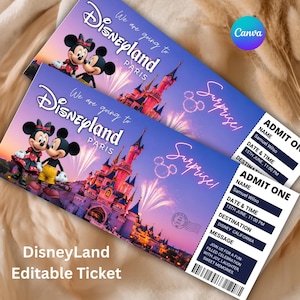 Op de afbeelding: Twee rechthoekige Disneyland Paris tickets met Mickey en Minnie Mouse, een kasteelillustratie, vuurwerk en de tekst Surprise. Het ticket bevat velden voor naam, datum en tijd, bestemming, bericht en een streepjescode aan de onderkant.