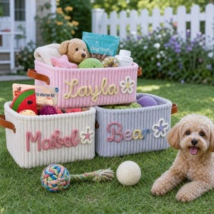 Gepersonaliseerde hondenmand met speelgoed, op maat gemaakte opbergmand voor huisdieren, geborduurde corduroy organizer, cadeau voor puppy's afbeelding 2