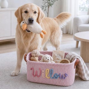 Gepersonaliseerde hondenmand met speelgoed, op maat gemaakte opbergmand voor huisdieren, geborduurde corduroy organizer, cadeau voor puppy's afbeelding 6