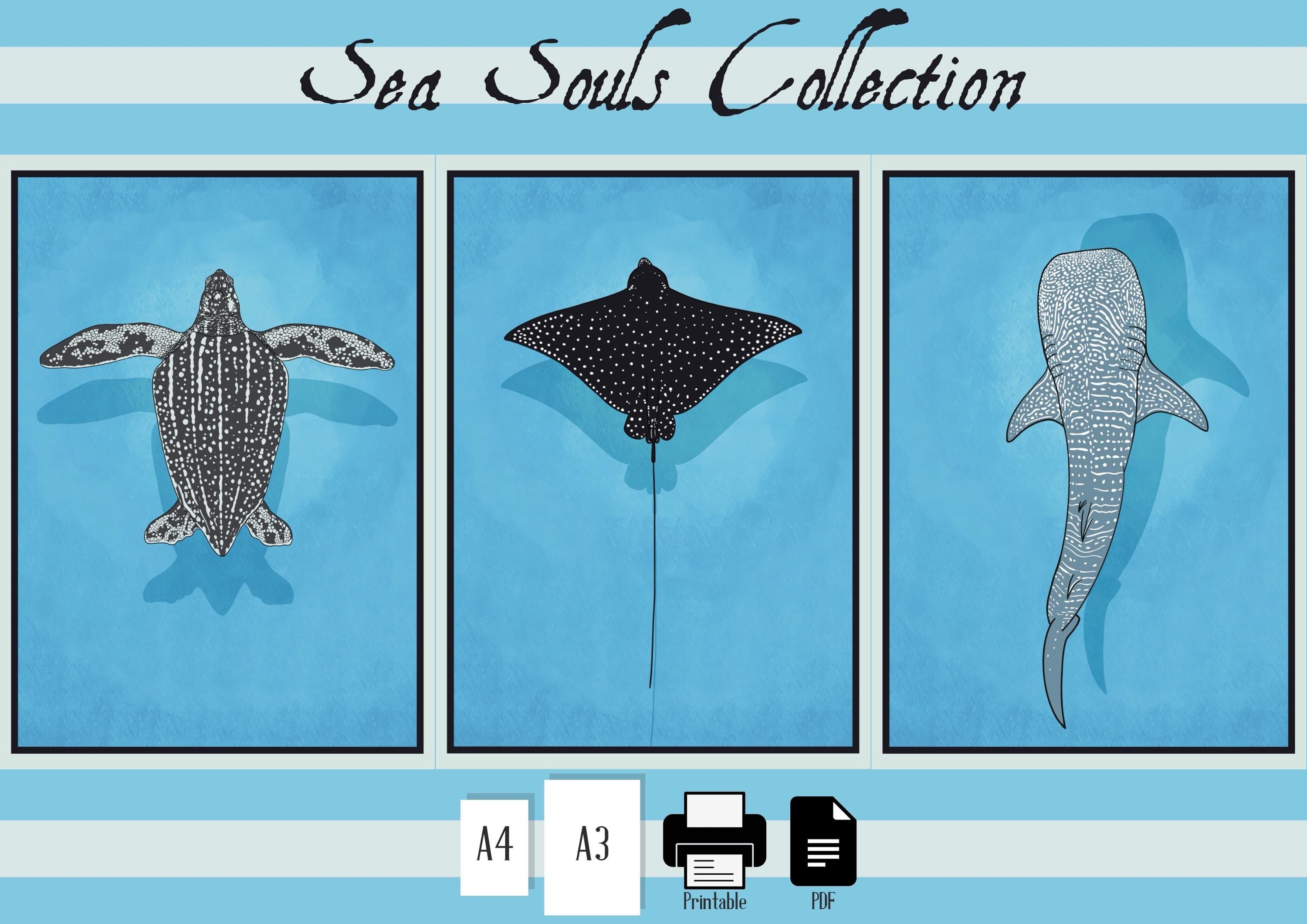 Minimalist Ocean Wall Art Set | Sea Turtle, Whale Shark & Manta Ray ...