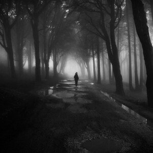 May include: Black and white photograph of a person walking down a path through a forest. The trees are tall and the path is wet, with puddles reflecting the sky. The scene is shrouded in mist, creating a mysterious atmosphere.