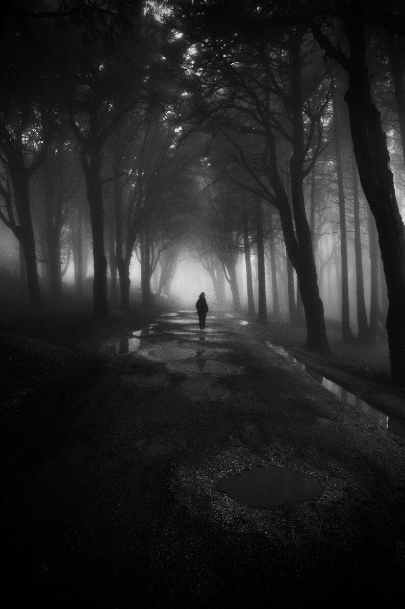 May include: Black and white photograph of a person walking down a path through a forest. The trees are tall and the path is wet, with puddles reflecting the sky. The scene is shrouded in mist, creating a mysterious atmosphere.