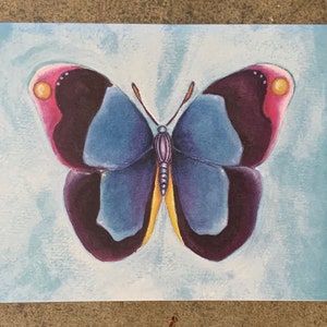 Butterfly Cards-Set of Butterflies-Butterfly Painting-Gardener Gift-Nature Art-Office Decor-Stationery Set-Garden Art-Mothers Day Gift image 2