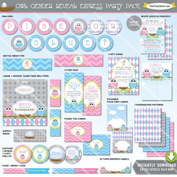 Gender Reveal Party Decorations | Owl Baby Shower Theme | Blue Pink | Printable Party Package | Instant Download | Invitation Available