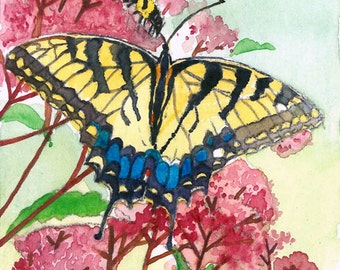 Swallowtails in summer garden ACEO Limited Edition