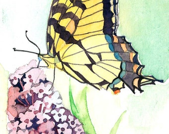 ACEO Limited Edition 3/25- Attractive butterfly