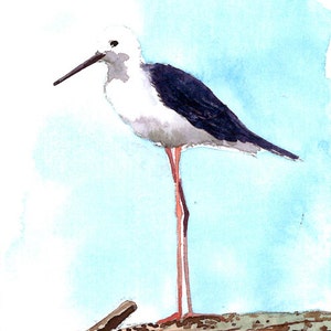 ACEO Limited Edition 2/25- A lonely shorebird, Vogel Kunstdruck eines original ACEO Aquarells von Anna Lee, Geschenkidee für Vogelliebhaber