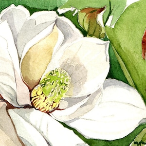 May include: A watercolor painting of a white magnolia flower with a yellow center and green leaves.
