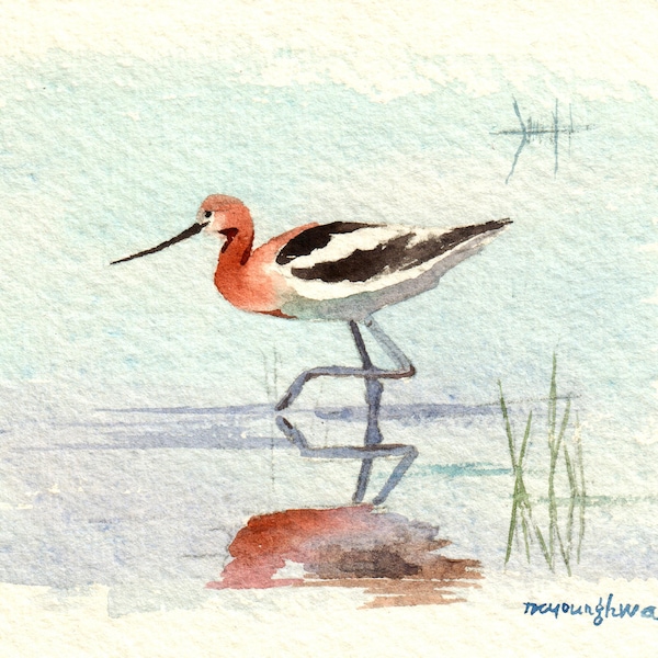 Een rustig moment, American avocet, 5x7, 8x10, 9x12 Art print van origineel aquarel schilderij van Anna Lee, Zomerdecoratie, Cadeau idee