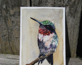 ACEO Limited Edition 12/25- Broad-tailed Hummingbird, Bird art print of water color painting, 2.5 x 3.5 inches miniature painting