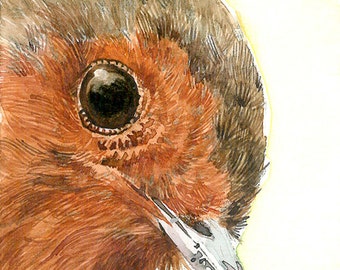 ACEO Limited Edition 6/25, Close-up robin,  Backyard bird, European robin, Miniature painting by Anna Lee, Art deco, Gift idea