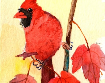 ACEO Limited Edition 3/25- Cardinal in autumn maple leaves, Bird print of an ACEO original watercolor, Gift for bird lover