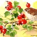 see more listings in the ACEO prints-birds section