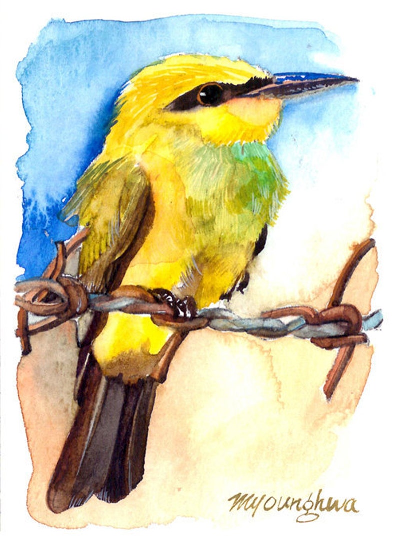 ACEO Limited Edition Rainbow bee eater Art print 2.5x3.5