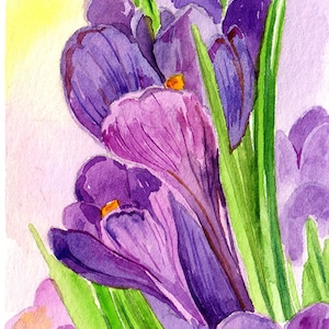 May include: A watercolor painting of a bouquet of purple crocuses with green stems and leaves. The flowers are in bloom and have yellow centers. The background is a soft yellow and pink.