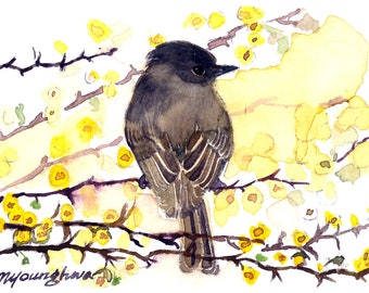 ACEO (2.5 x 3.5 inches) Limited Edition 2/50 - In a yellow thorn tree, Bird art print of original ACEO watercolor, Gift idea for bird lovers