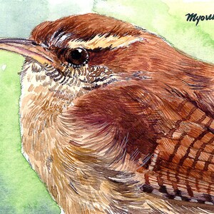 Peut inclure: Aquarelle d'un troglodyte de Caroline. L'oiseau est représenté de profil, avec un plumage brun et beige, un œil sombre et un long bec. Le fond présente des lavis d'aquarelle verts et blancs. La signature de l'artiste, "Myoungkhwa", est visible.