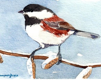 ACEO Limited Edition 1/50, Chickadee in winter catkins, Chestnut backed chickadee, Gift for bird lovers, Miniature painting, Home decor idea