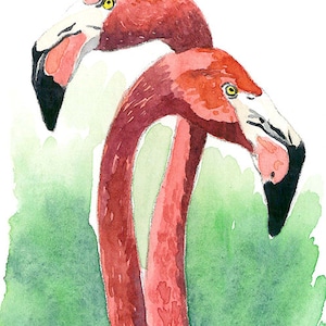 May include: A watercolor painting of two flamingos with vibrant pink feathers, long curved necks, and yellow eyes. The beaks are white with black tips. The text myounghwa is written in blue in the upper right corner against a green wash background.