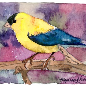 May include: Watercolor painting of a yellow and blue bird perched on a branch. The bird has a black head and a long tail. The background is a purple and green watercolor wash.