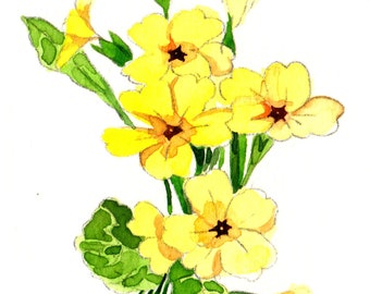 ACEO Limited Edition 1/50- Primroses, Gift for nature lovers, Miniature painting, Gift idea for her