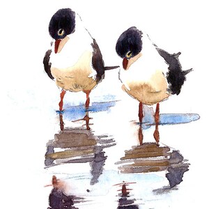 May include: Watercolor painting of two birds with black caps, white bodies, and tan chests. They stand on a wooden structure reflected in the water. The artwork has a soft, artistic style with a signature in the bottom left corner.