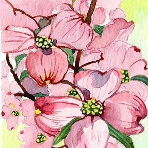 ACEO Limited Edition 1/50- Blühender Hartriegel, Pink Blume, Frühling, Kunstkarte von original Aquarell von Anna Lee, Einweihungsgeschenk